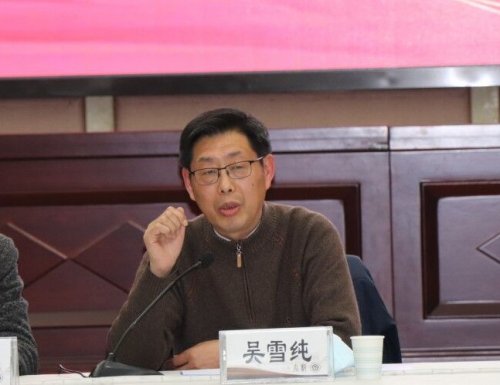 吴雪纯院长讲话2.jpg